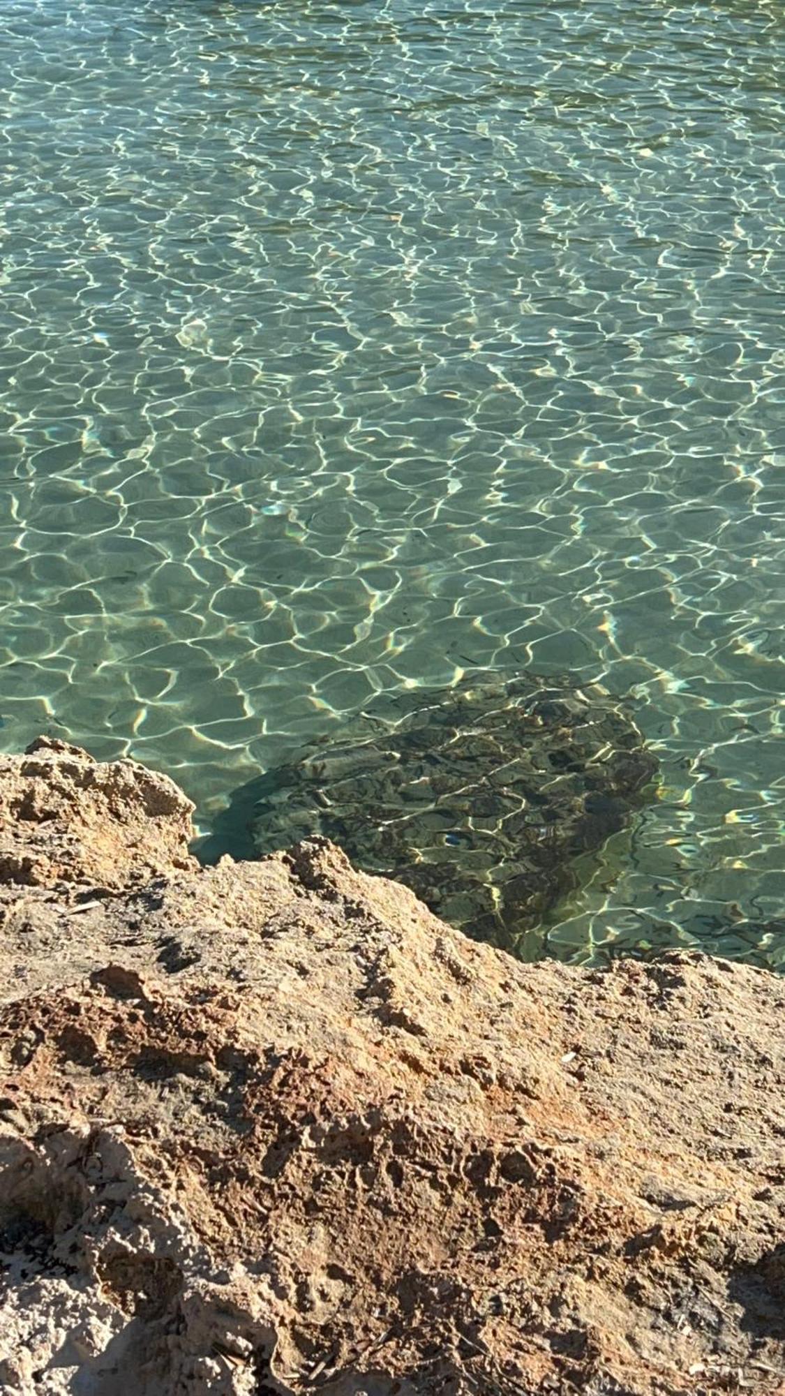 Capitolo Villa Monopoli Eksteriør bilde